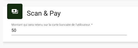 scan-pay-max-amout.png